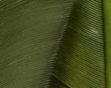 HARELINE TURKEY BIOT QUILLS