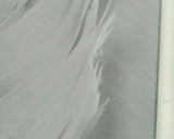HARELINE TURKEY BIOT QUILLS