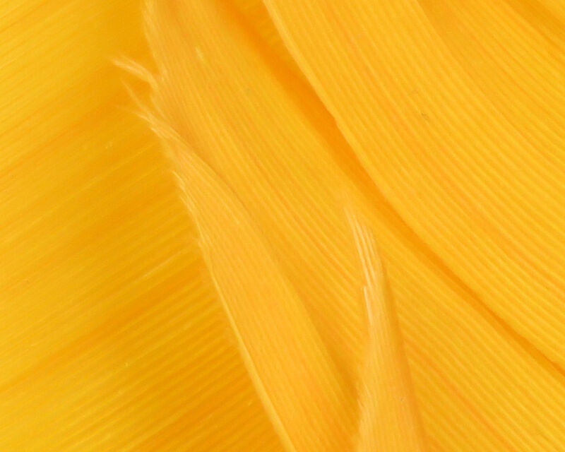 HARELINE TURKEY BIOT QUILLS