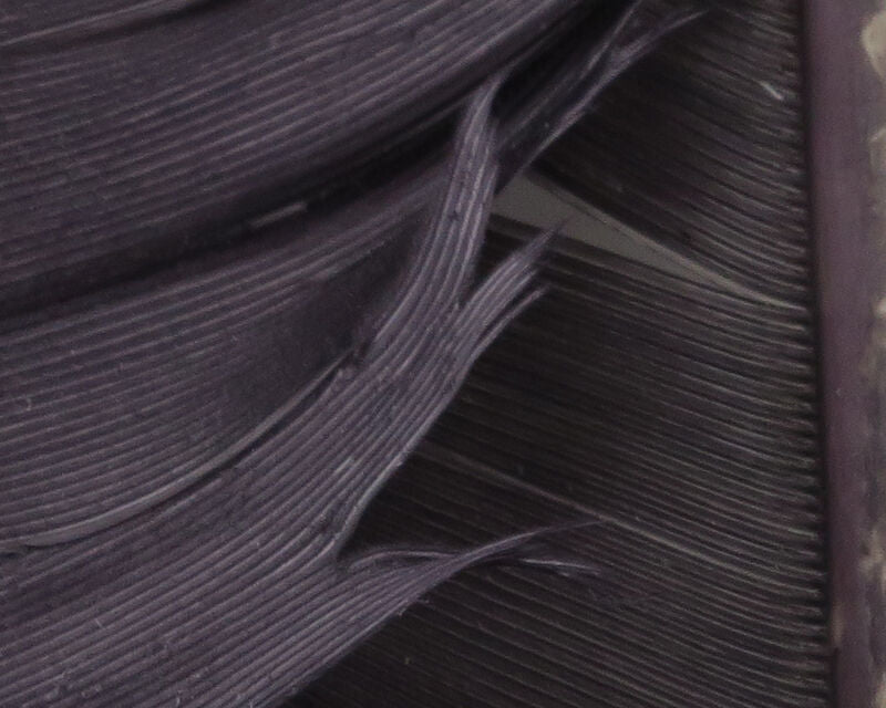 HARELINE TURKEY BIOT QUILLS