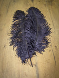 UPSTREAM PREMIUM OSTRICH FEATHERS