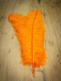 UPSTREAM PREMIUM OSTRICH FEATHERS