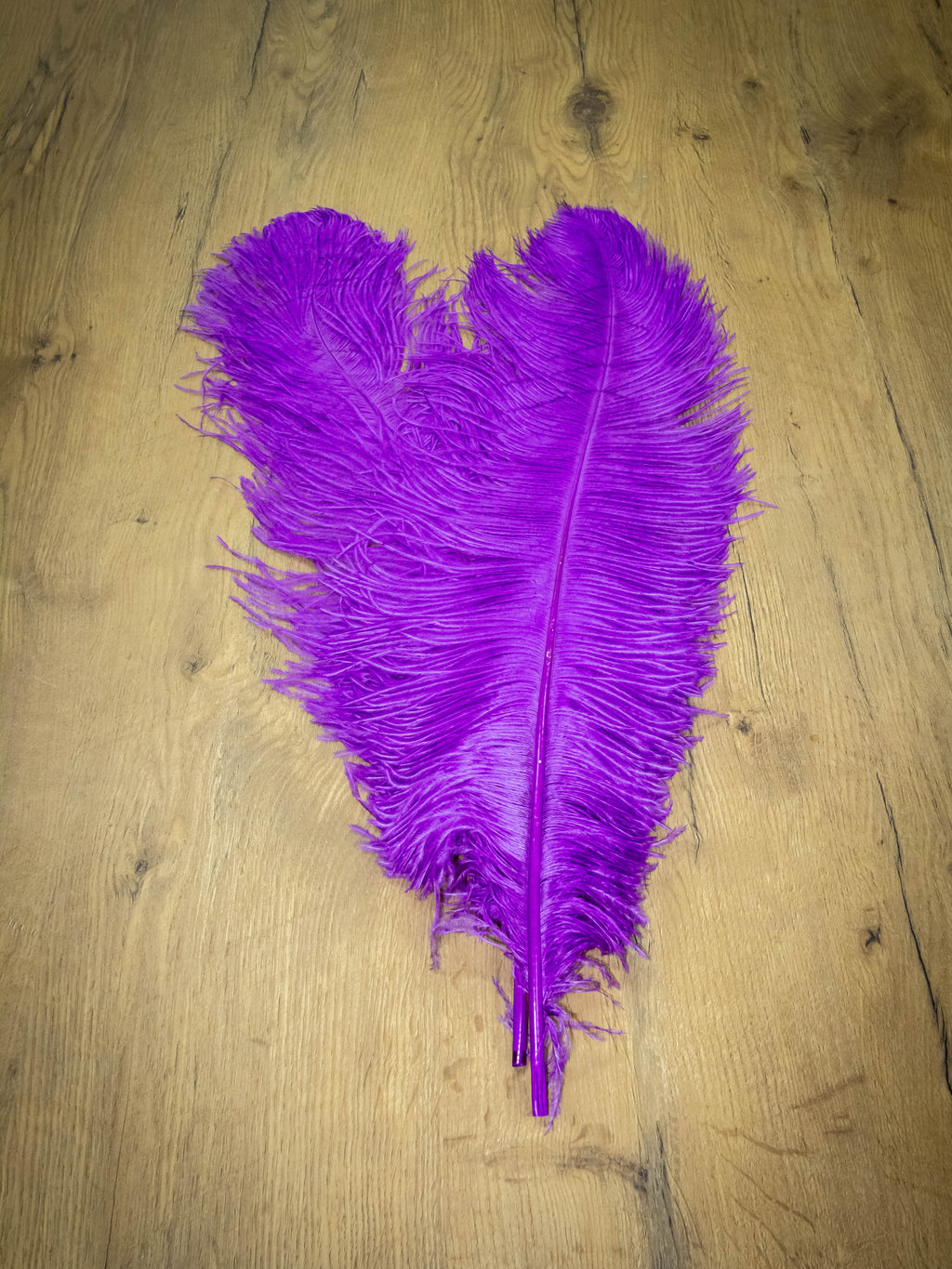UPSTREAM PREMIUM OSTRICH FEATHERS