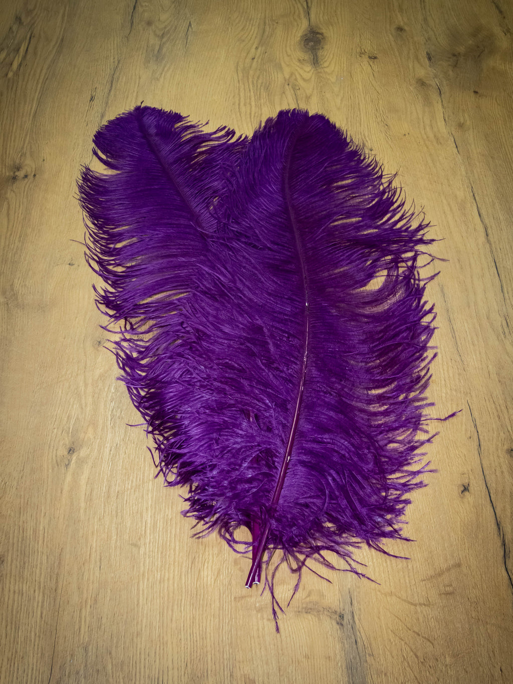 UPSTREAM PREMIUM OSTRICH FEATHERS