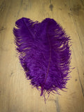 UPSTREAM PREMIUM OSTRICH FEATHERS