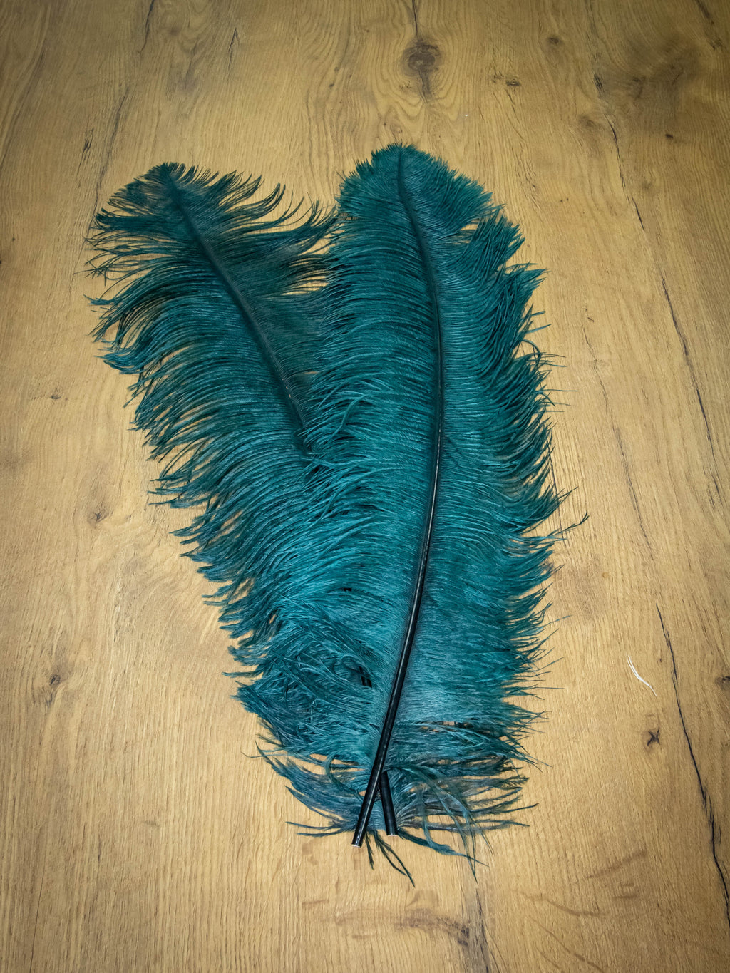 UPSTREAM PREMIUM OSTRICH FEATHERS