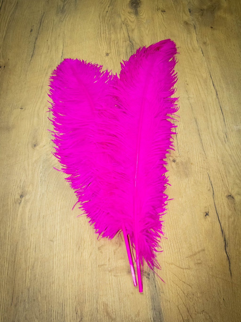 UPSTREAM PREMIUM OSTRICH FEATHERS