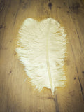 UPSTREAM PREMIUM OSTRICH FEATHERS