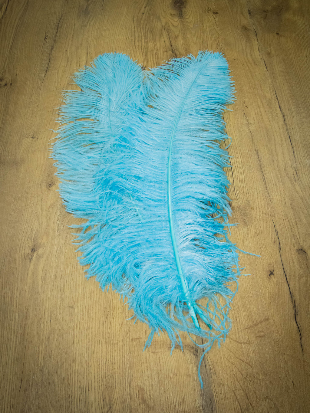 UPSTREAM PREMIUM OSTRICH FEATHERS