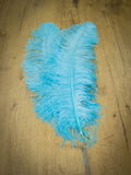 UPSTREAM PREMIUM OSTRICH FEATHERS