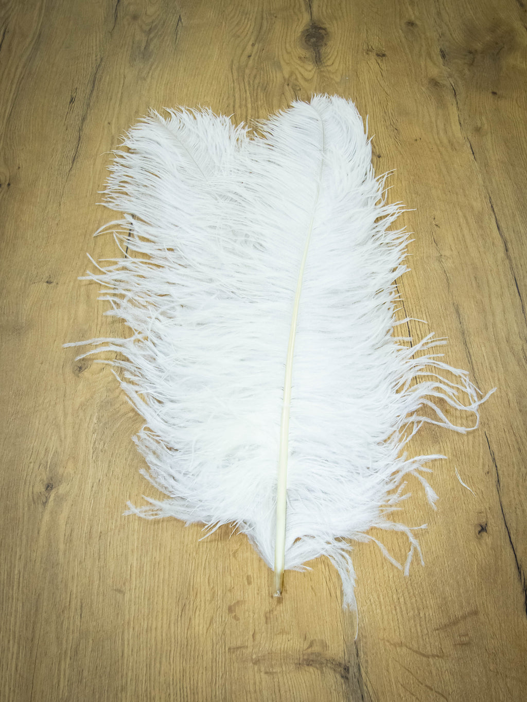 UPSTREAM PREMIUM OSTRICH FEATHERS