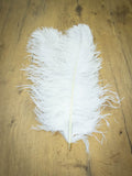UPSTREAM PREMIUM OSTRICH FEATHERS