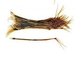 VENIARD PHEASANT HOPPER LEGS