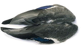 VENIARD MALLARD DUCK WING PAIRS