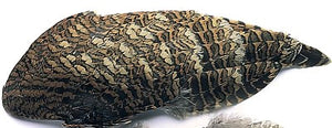 VENIARD WOODCOCK WING PAIRS