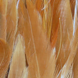 HARELINE WOOLLY BUGGER SADDLE HACKLE 6-7 INCH