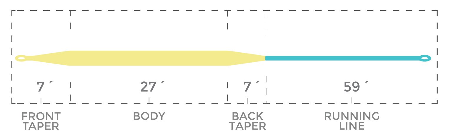 CORTLAND - ALL PURPOSE TAPER