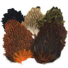 HARELINE INDIAN HEN BACK