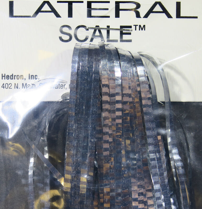 HEDRON LATERAL SCALE