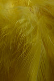 H2O STRUNG SADDLE HACKLE