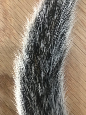 H2O SQUIRREL TAILS