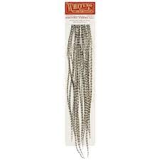 WHITING 100 PACK HACKLE