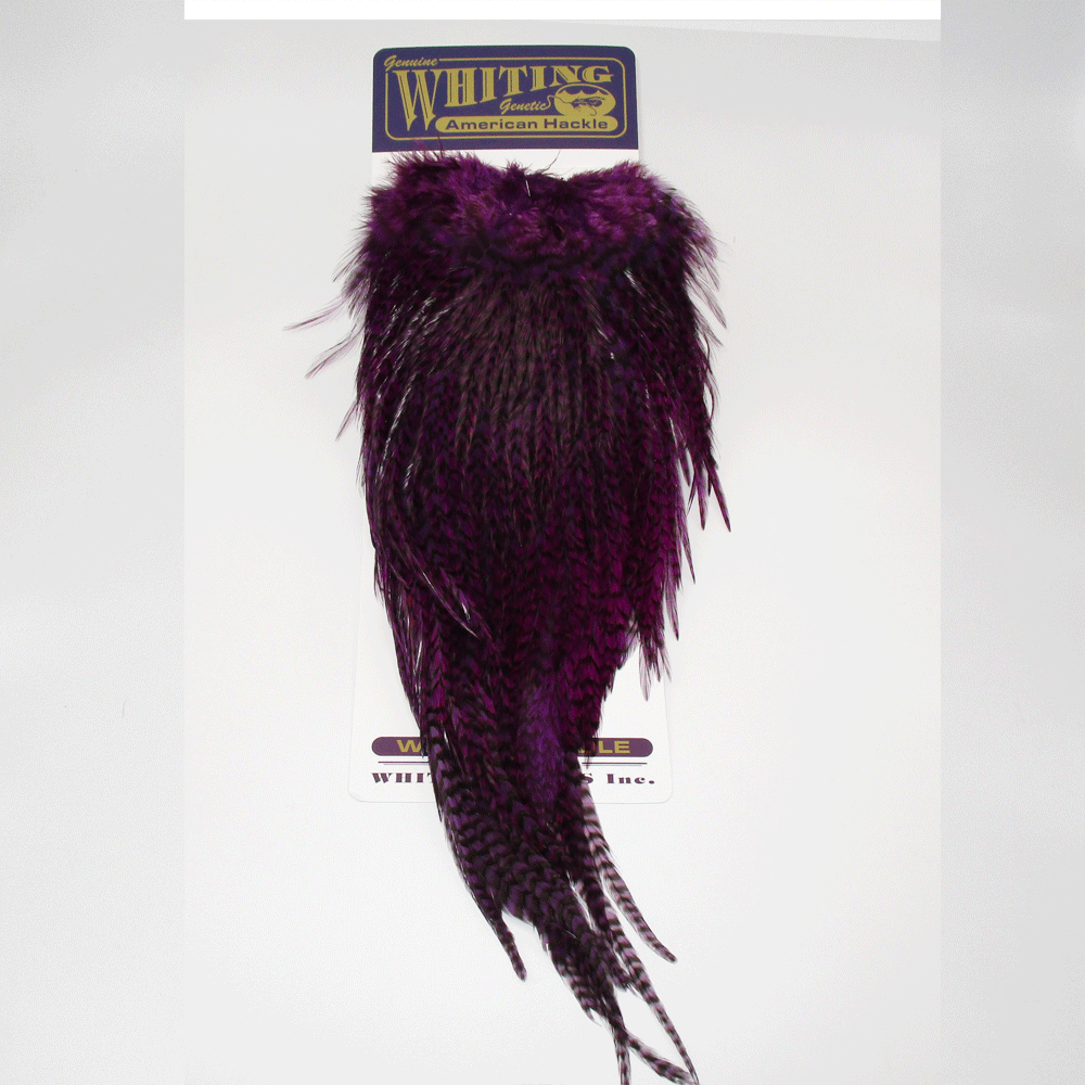 WHITING AMERICAN ROOSTER SADDLE HACKLE